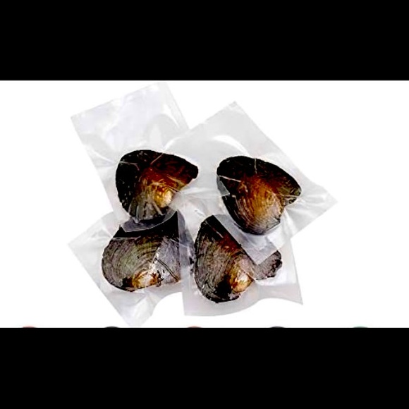 Other - ⚡️Sweet Water Surprise pearl Oyster⚡️